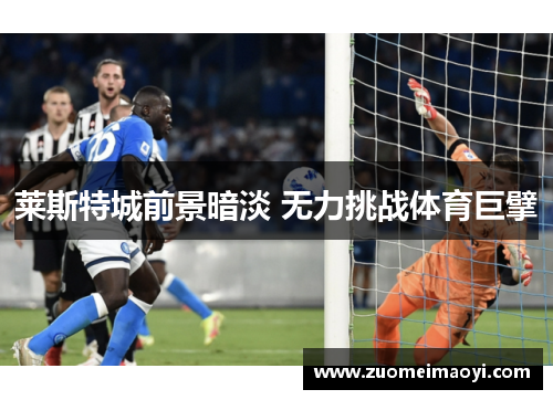 莱斯特城前景暗淡 无力挑战体育巨擘