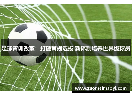 足球青训改革：打破常规选拔 新体制培养世界级球员