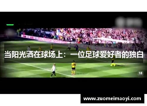 当阳光洒在球场上：一位足球爱好者的独白